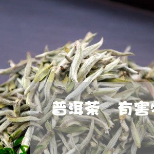 普洱茶 有害物质/2023031628572